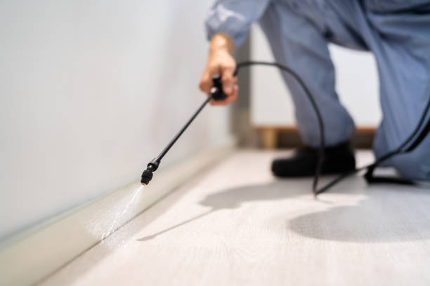 Bed Bug Pre-Treatment Preparation Assessment in Finley