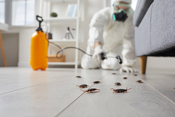 Post-Treatment Bed Bug Interceptor Monitoring in Finley